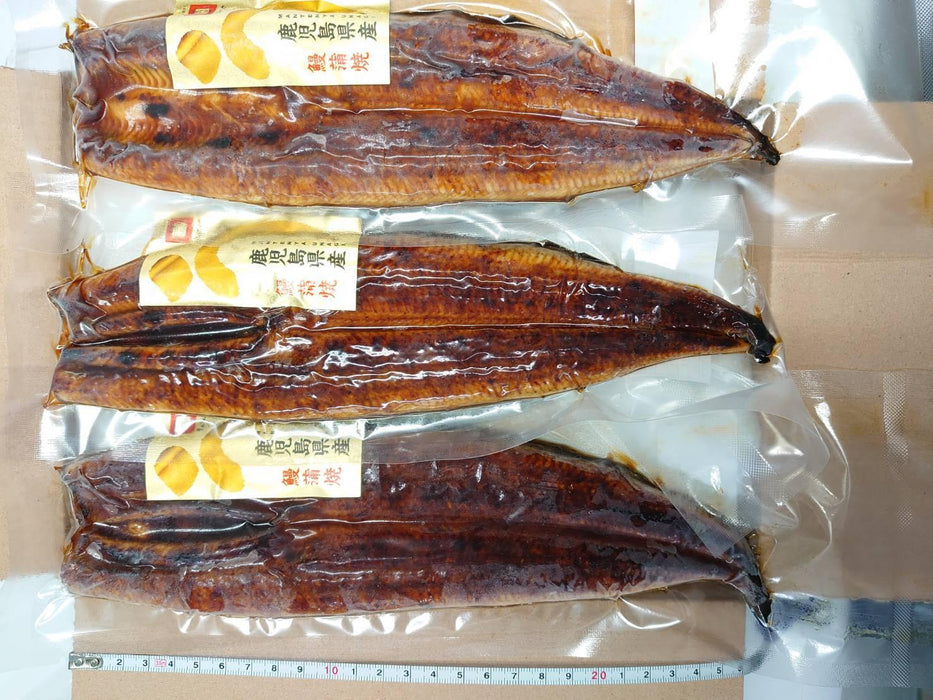 鹿児島県産鰻の蒲焼3匹セット - もったいないモール