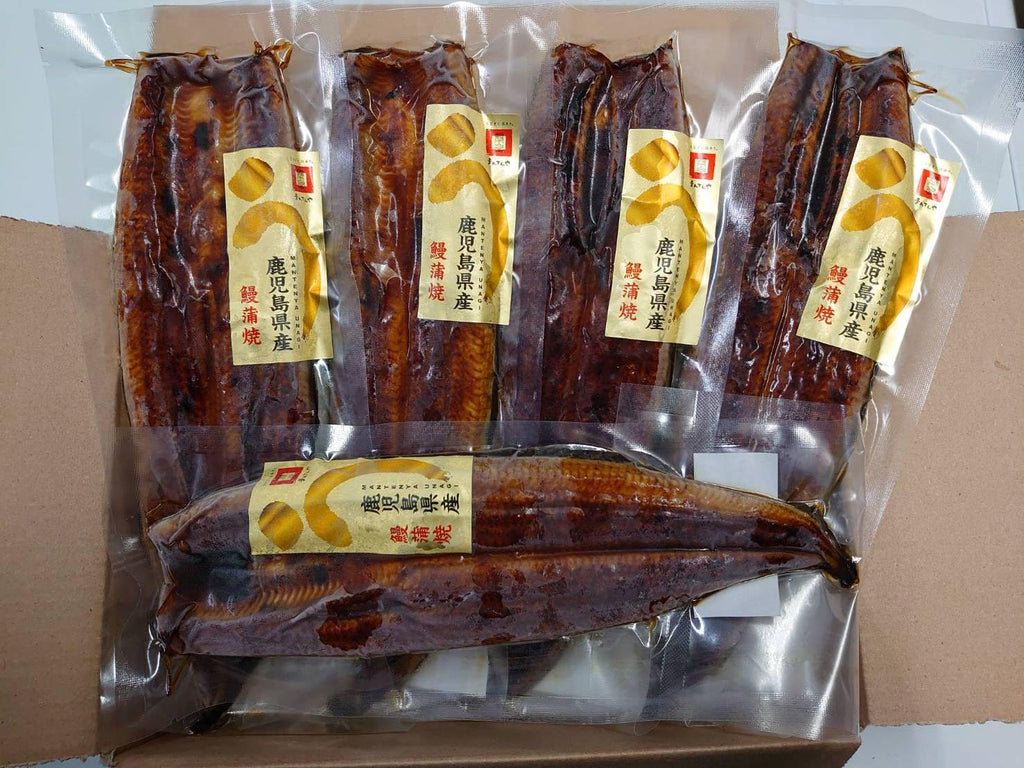 —　新うなぎ入荷！特大サイズ・国産産鰻の蒲焼5匹セット　もったいないモール